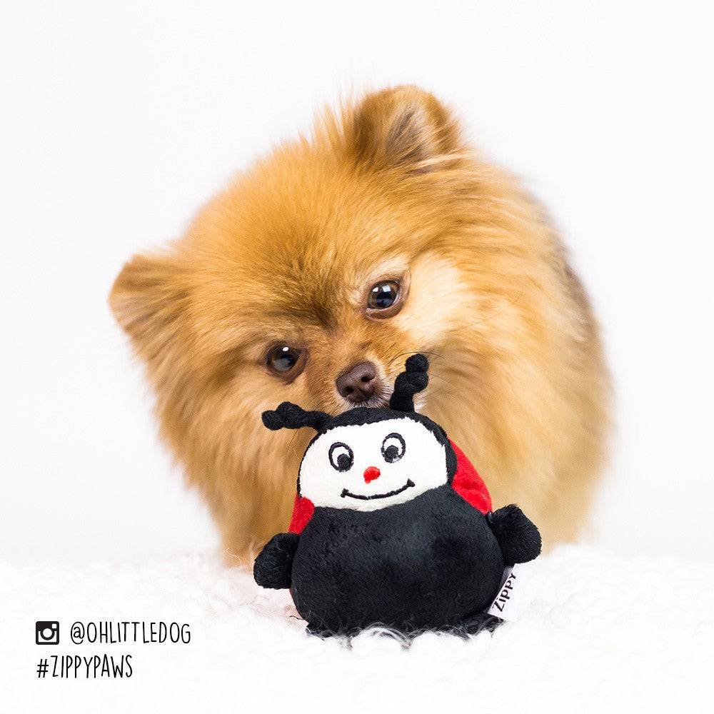 ZippyPaws Gabbles Musical Ladybug Dog Toy