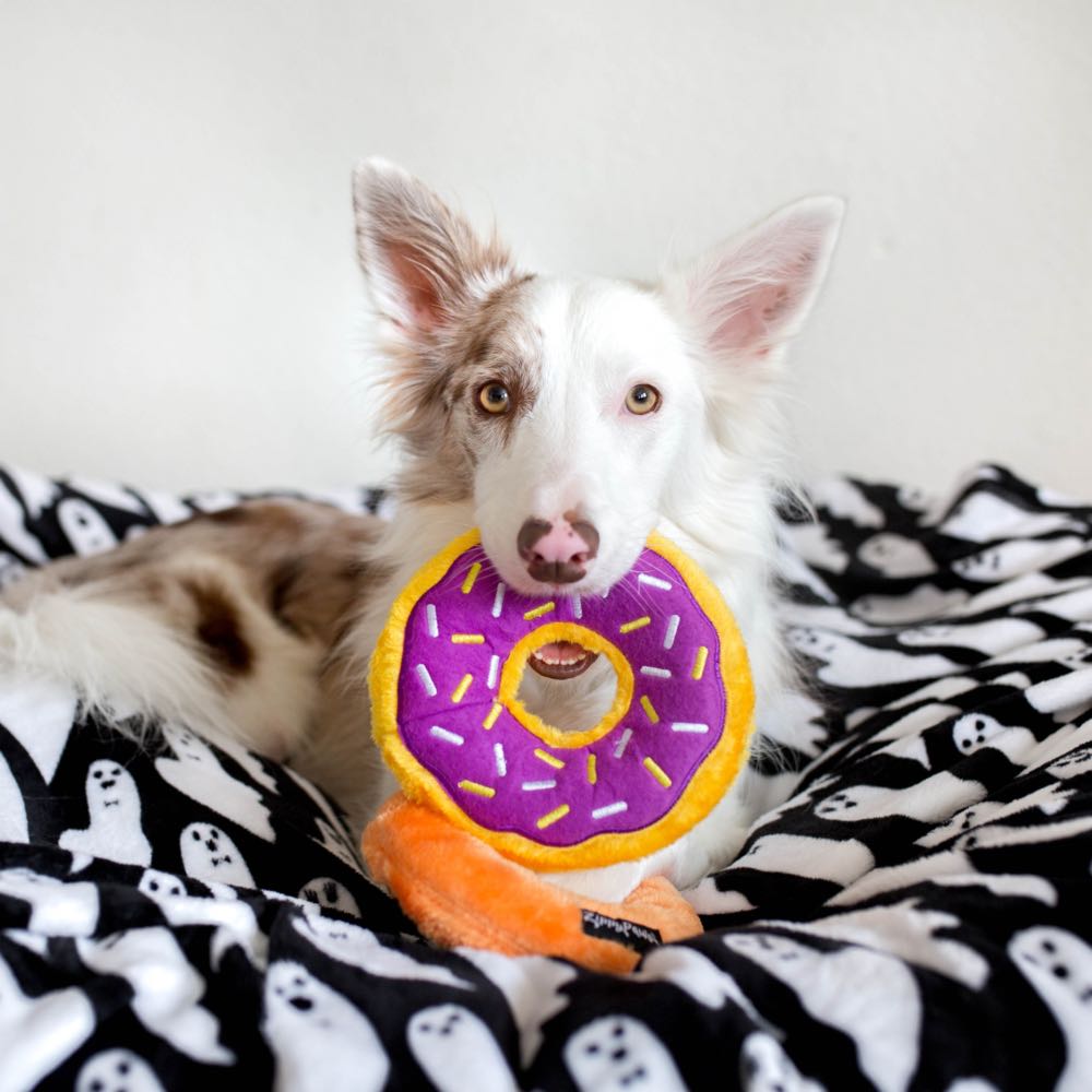 ZippyPaws Halloween Grape Jelly Donutz Dog Toy