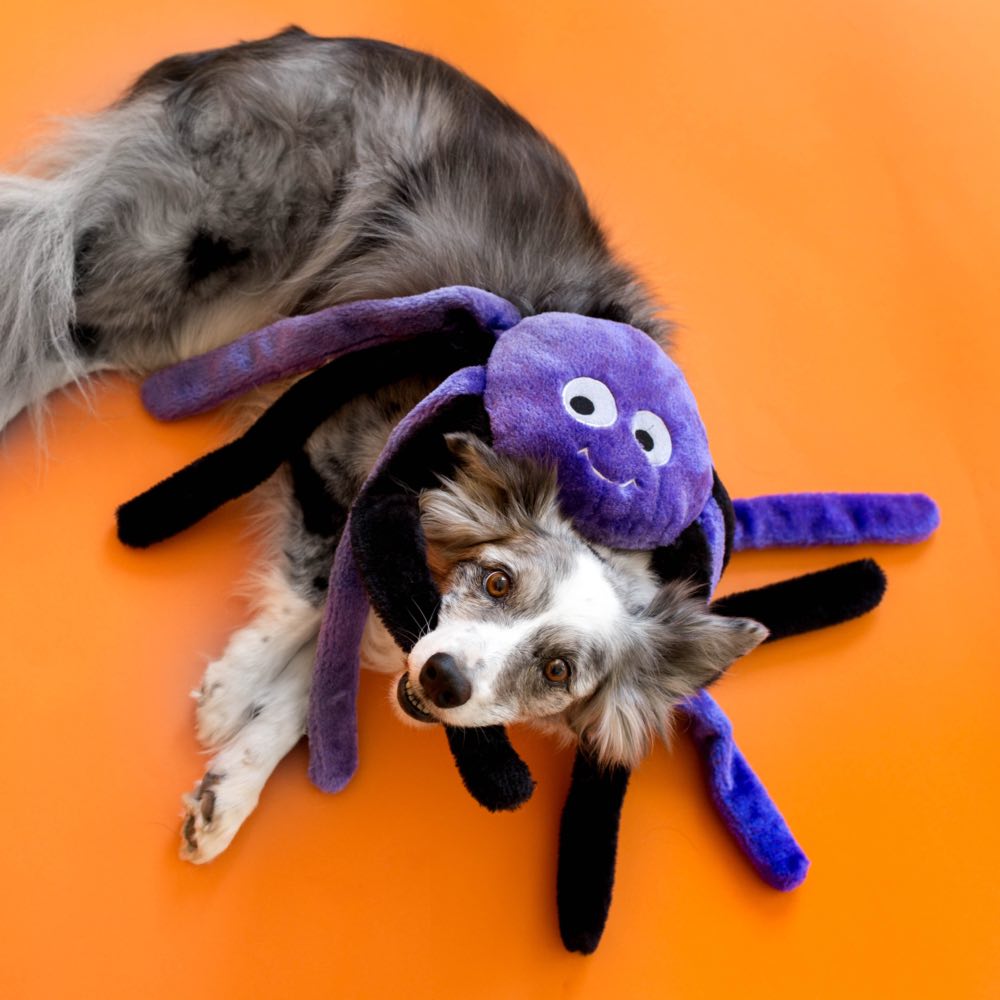 ZippyPaws Halloween Grunterz Purple Spider Dog Toy